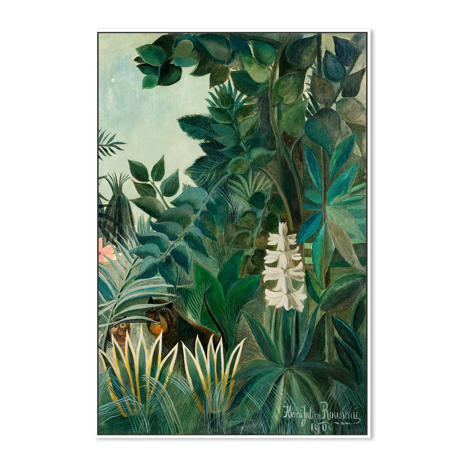 The Equatorial Jungle - Image 5