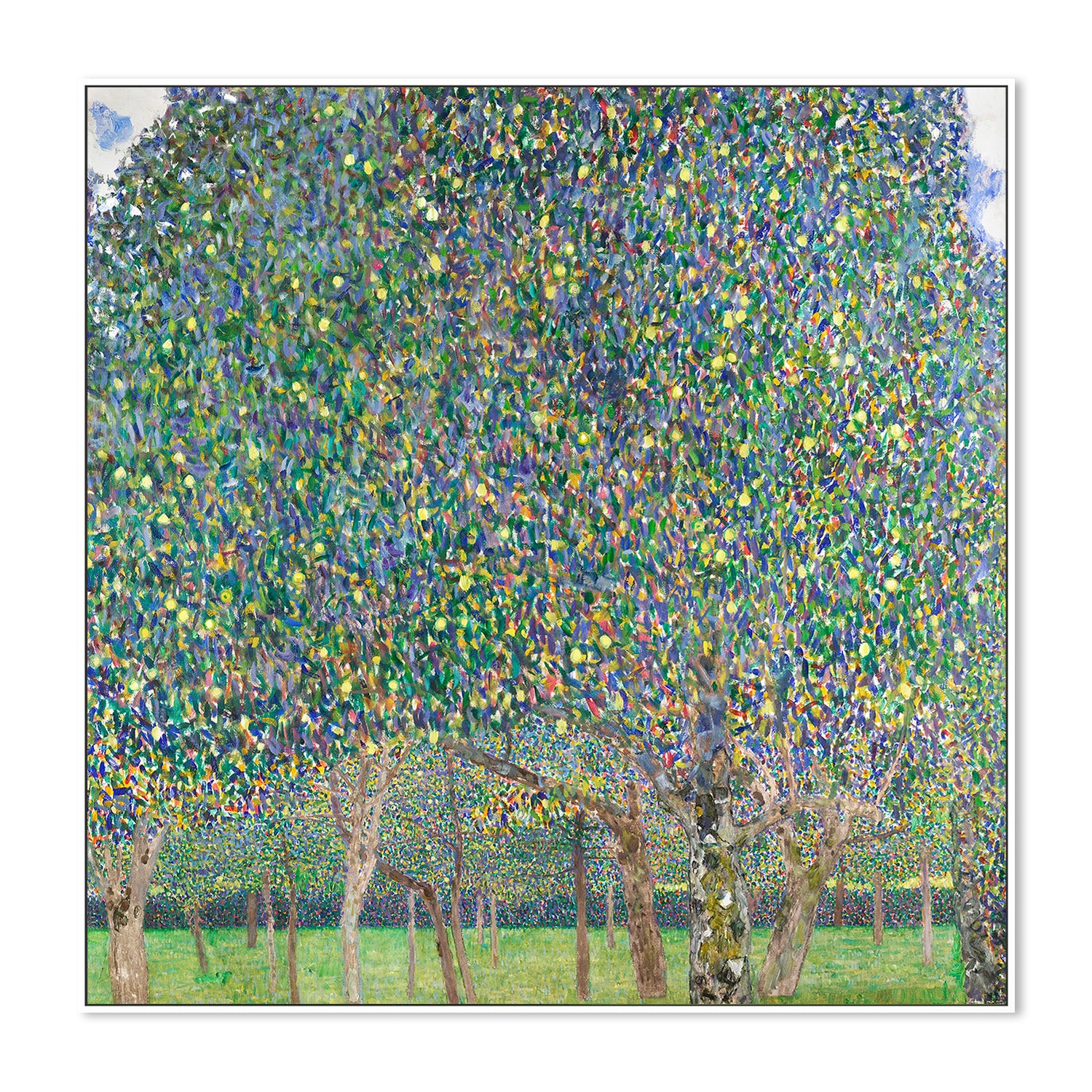 Pear Tree (1903) - Image 5