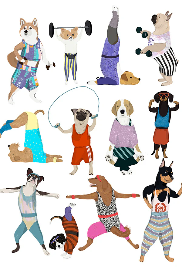Dog Exercise