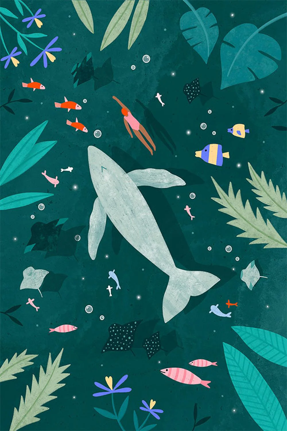 Swimming with a Whale