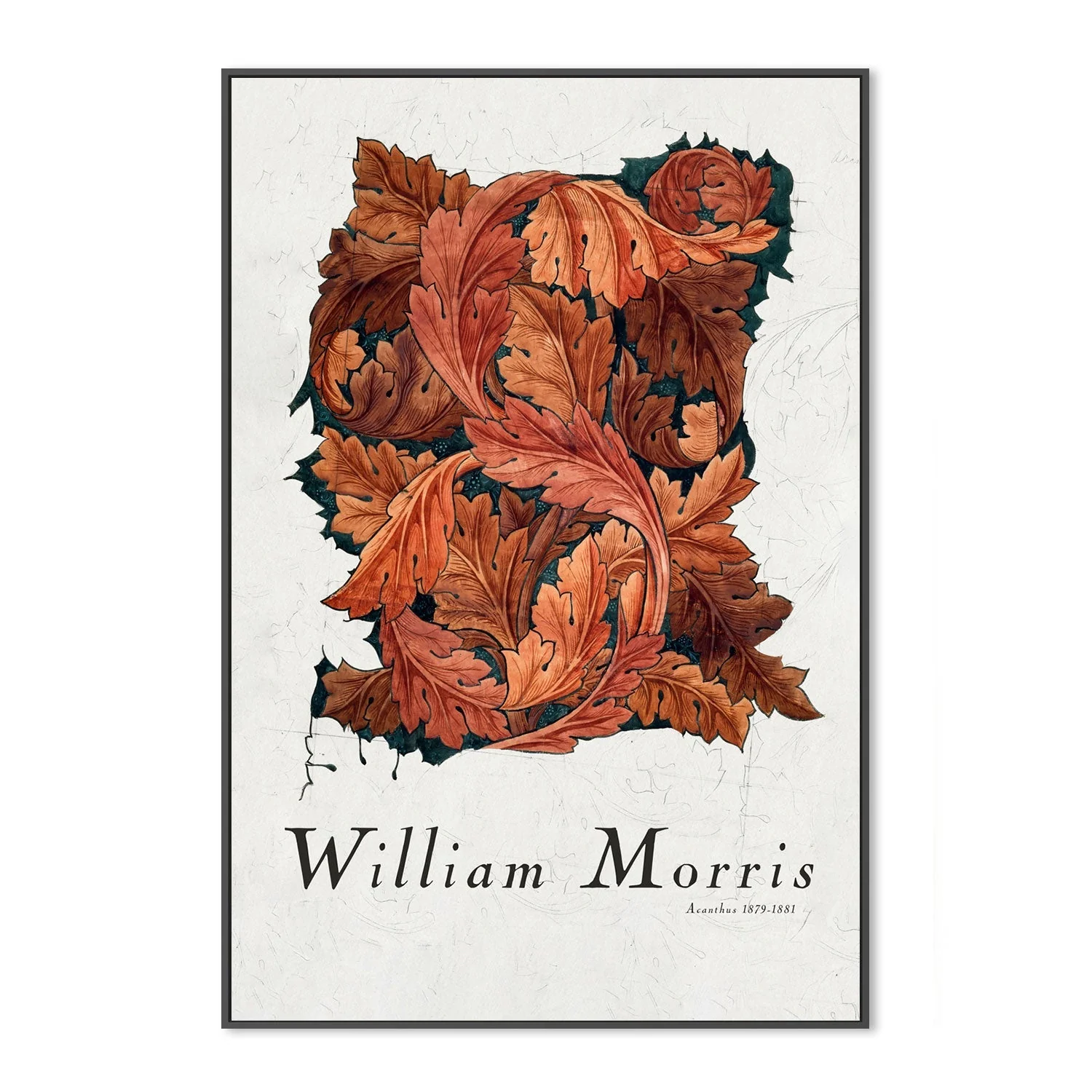 Acanthus - Image 3