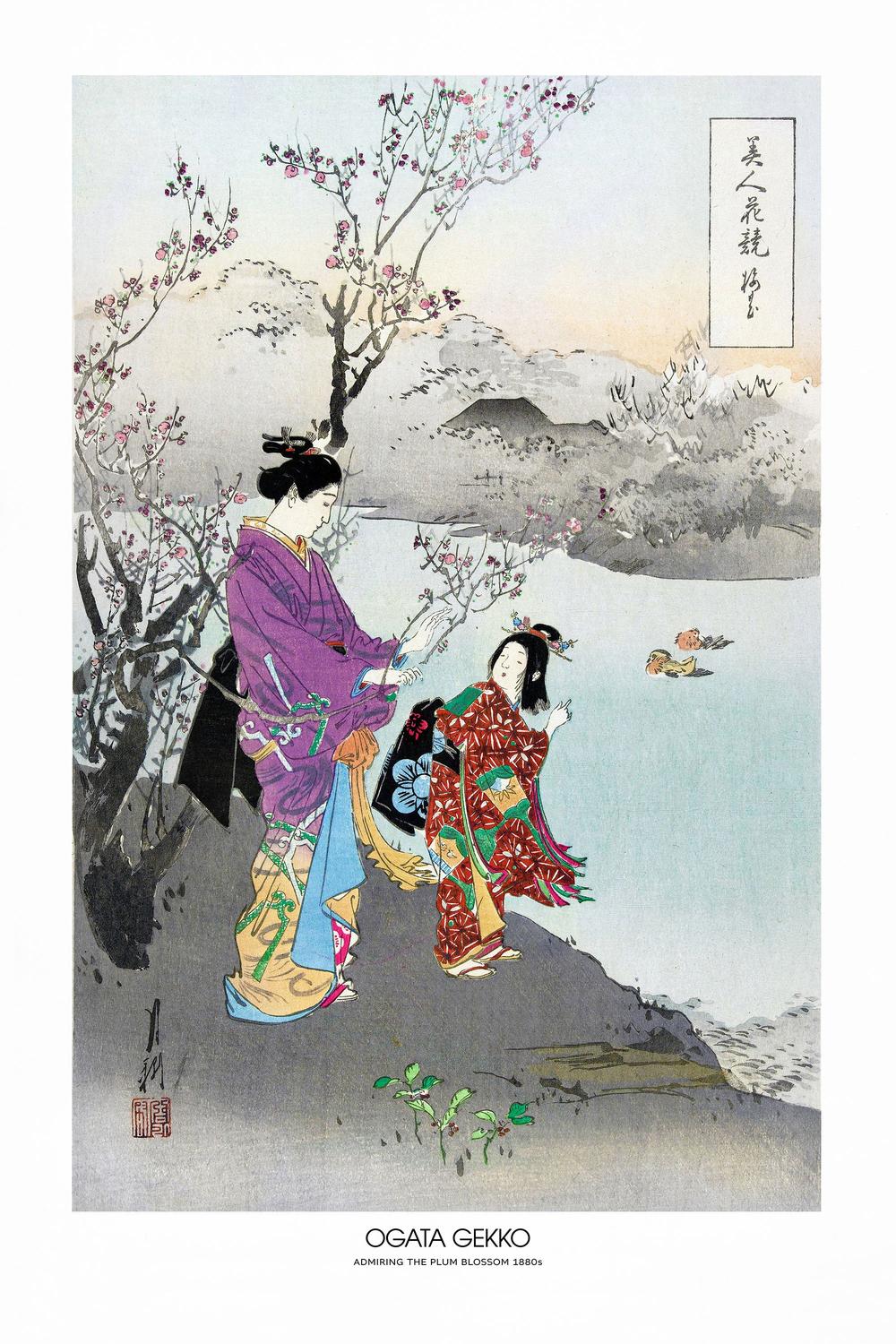 Admiring the Plum Blossom