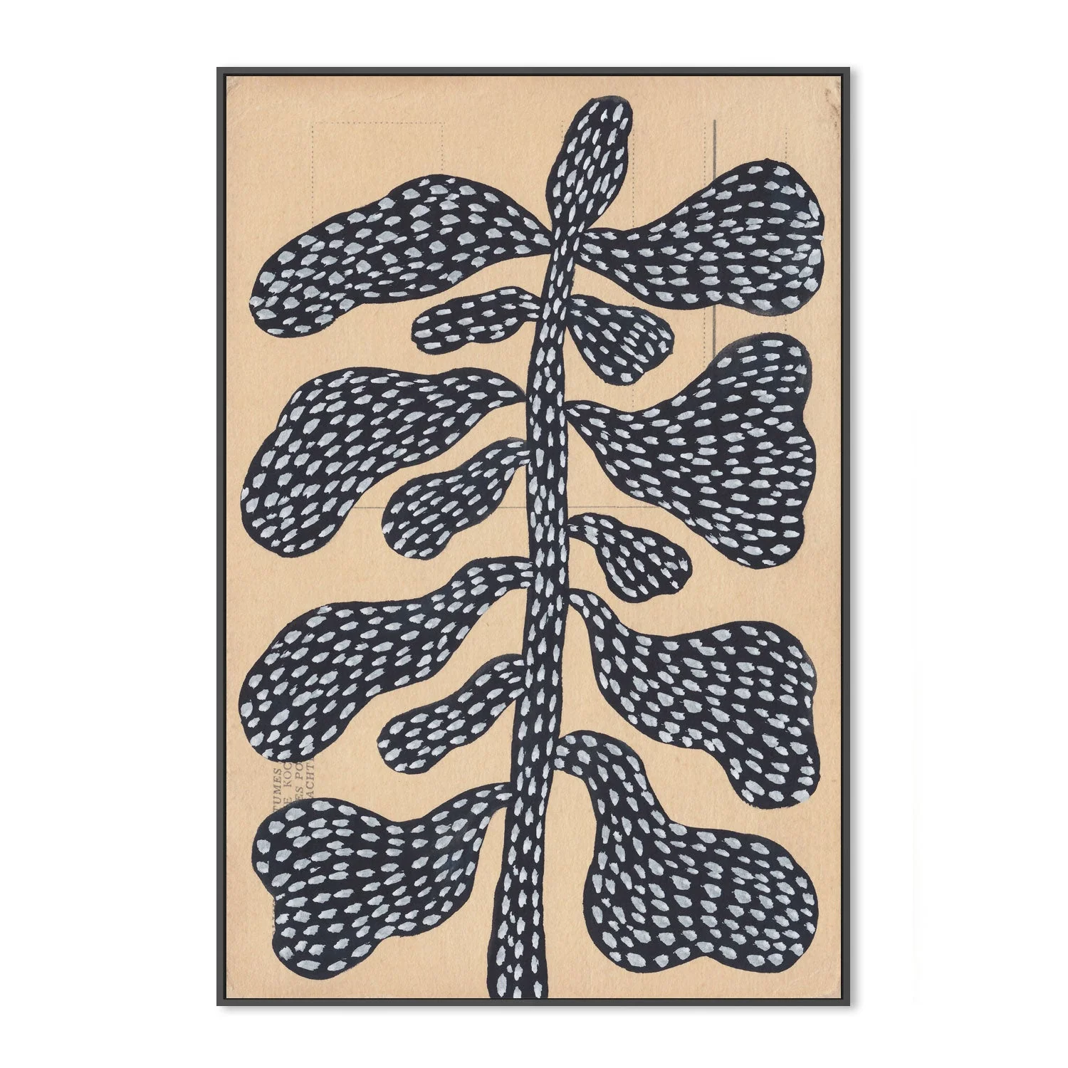 Aged Nature - Image 3
