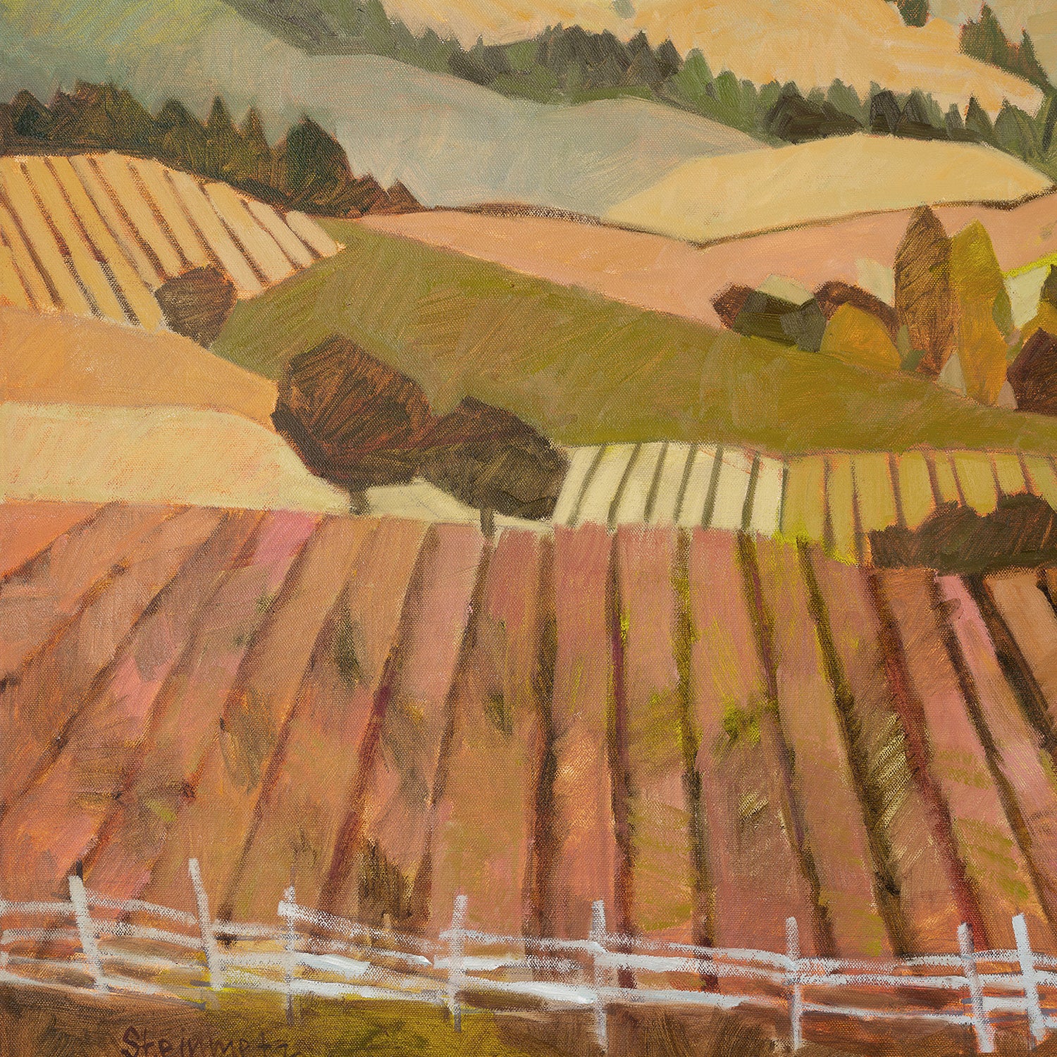 Anderson Valley Morning - Image 8