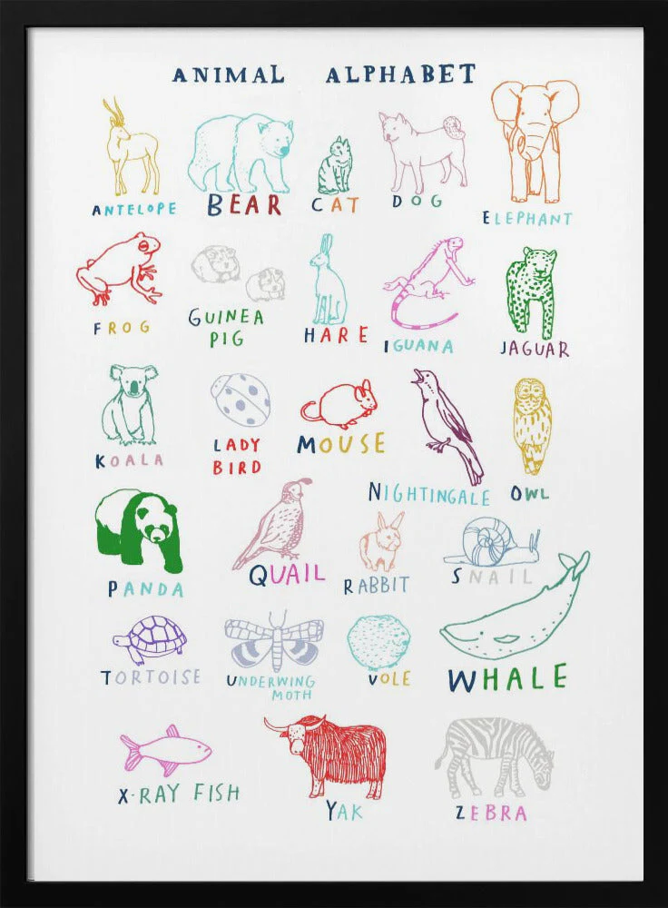 Animal Alphabet - Image 3