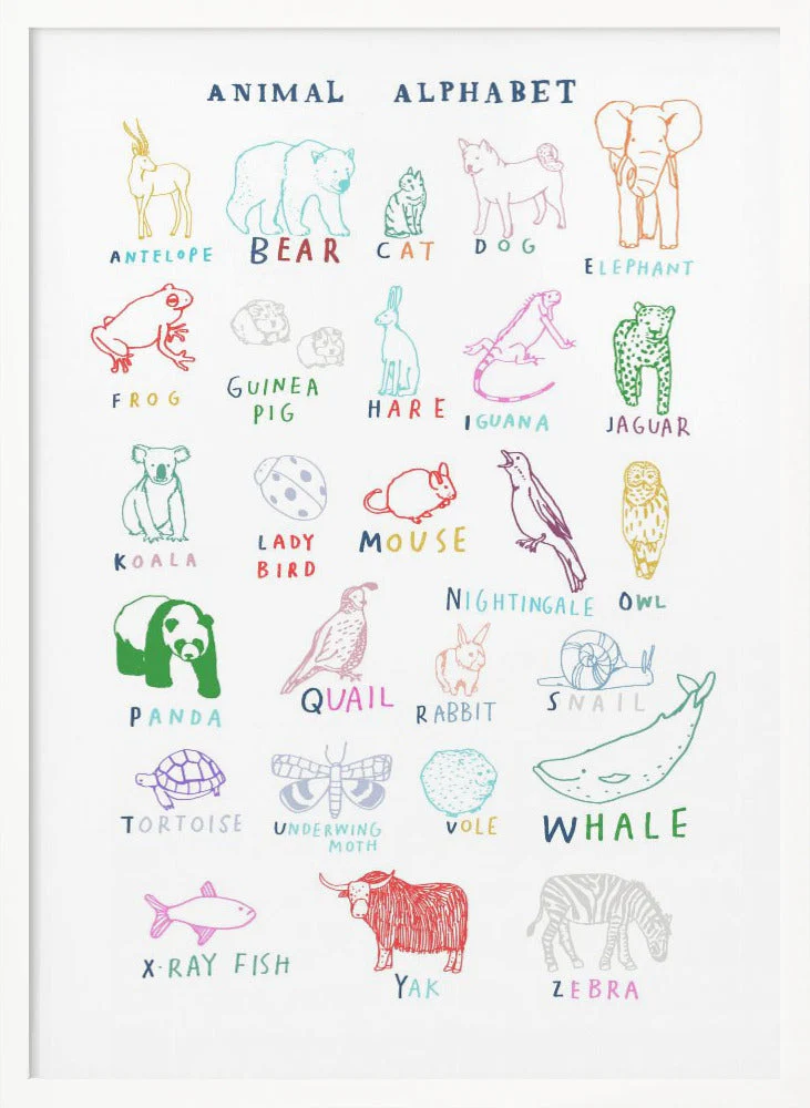 Animal Alphabet - Image 5