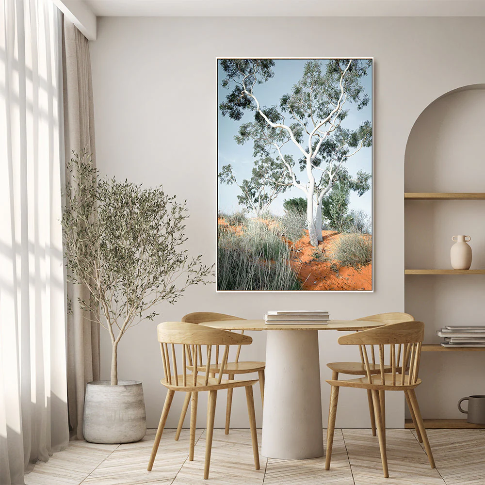 Australian Gum Tree - Image 7