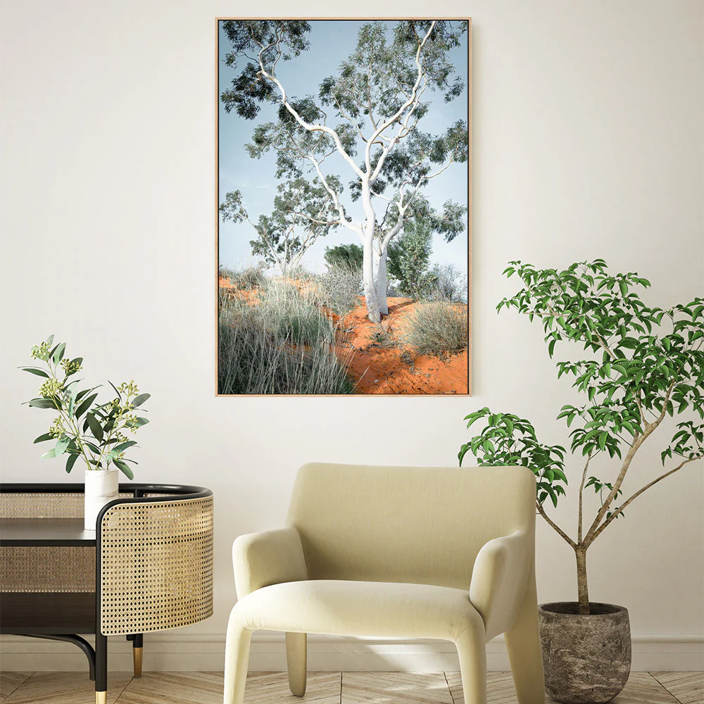 Australian Gum Tree - Image 8