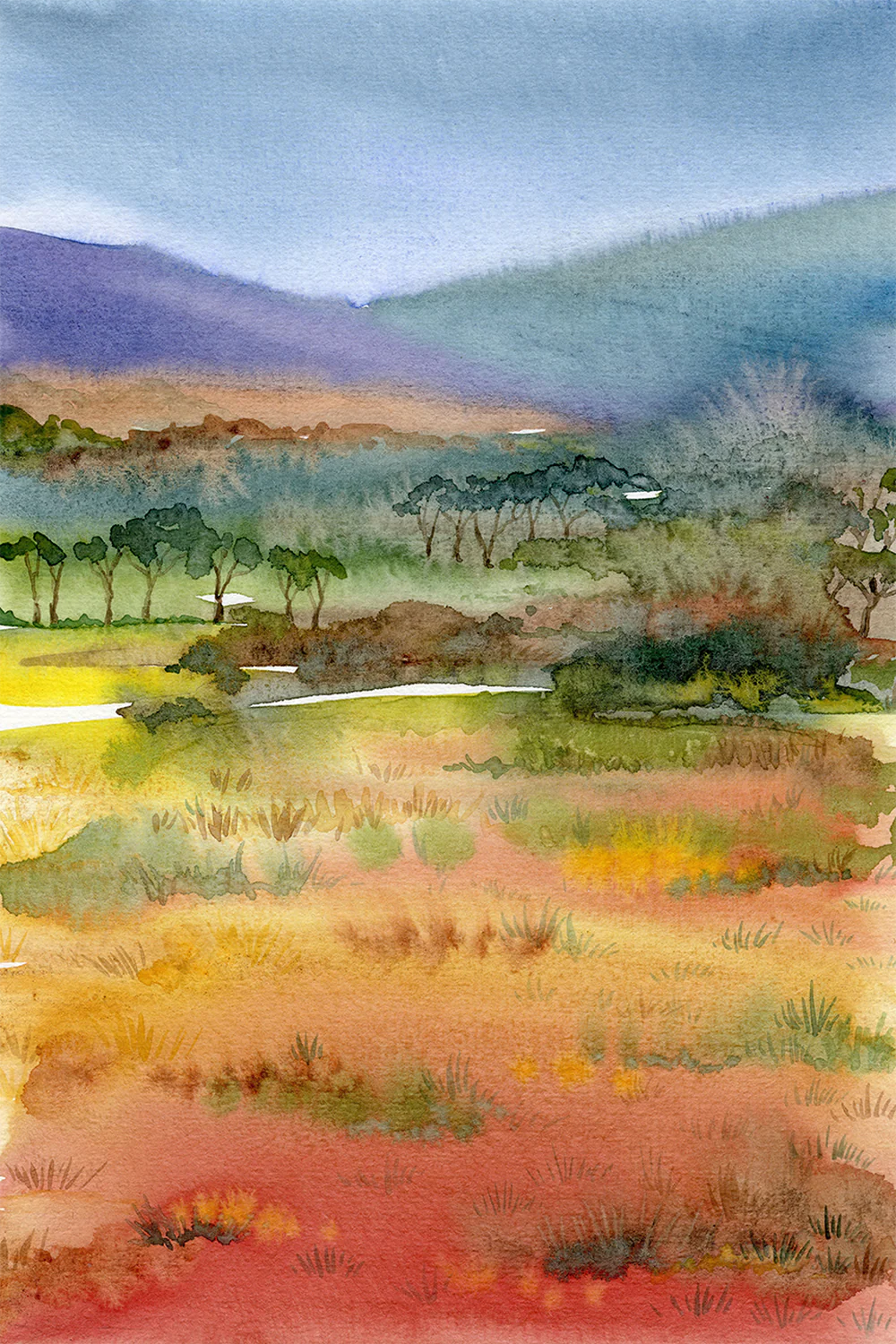 Australian Landscape