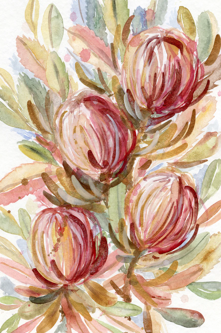 Banksia Bunch