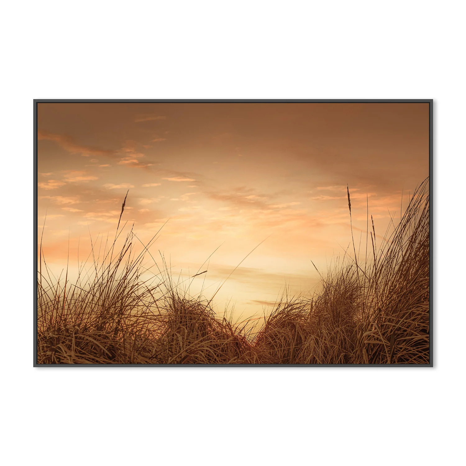 Beach Grasses at Sunset - Image 3