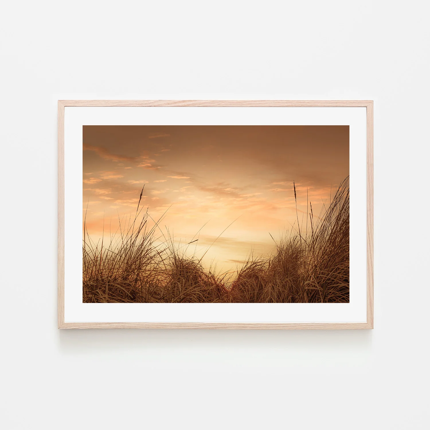 Beach Grasses at Sunset - Image 6