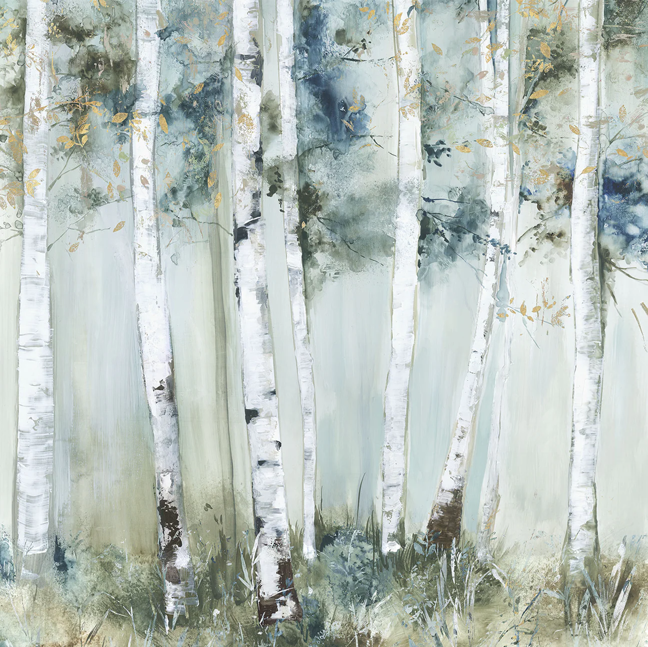 Birch Blue Forest