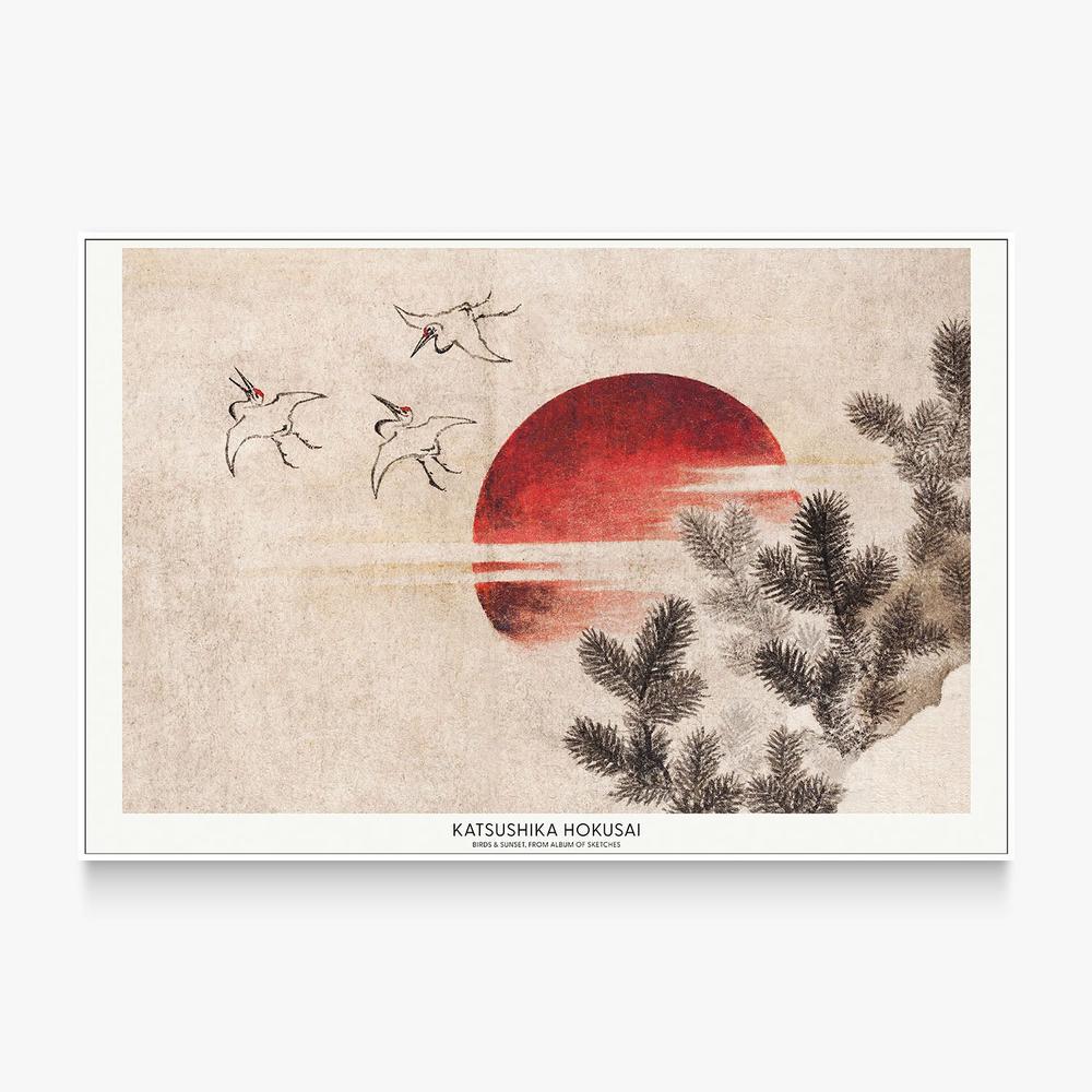 Birds and Sunset - Image 5