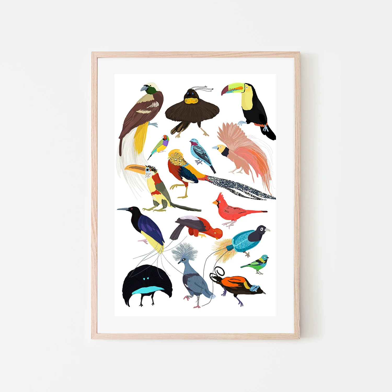 Birds of Paradise - Image 6