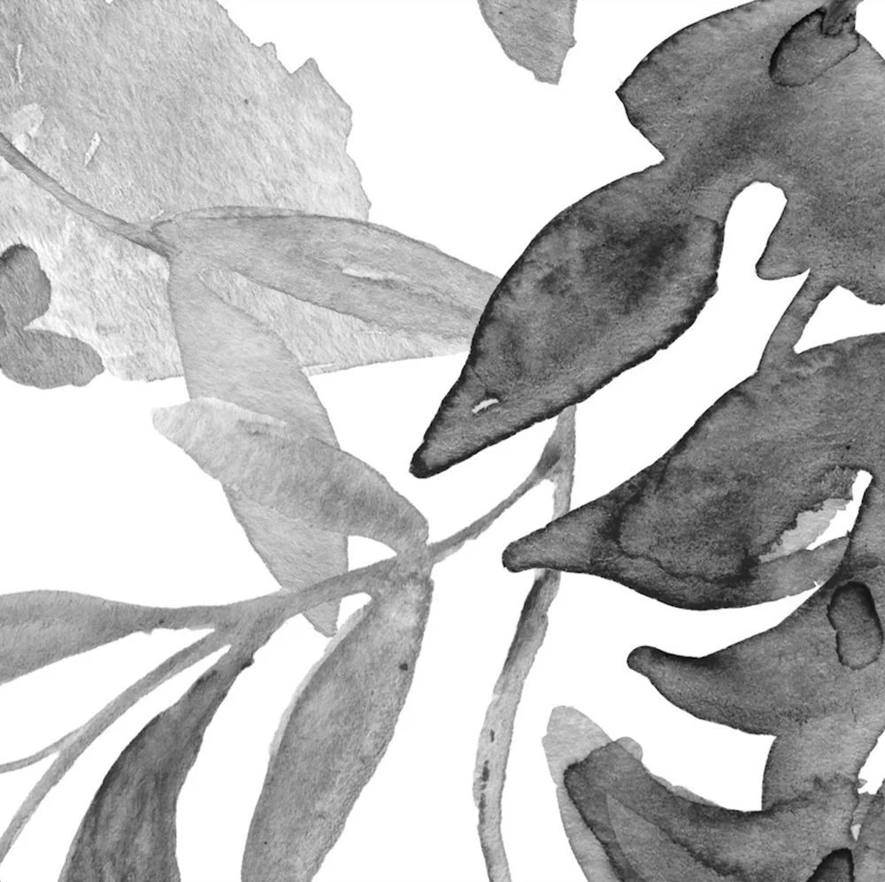Black And White Florals Wallpaper - Image 3