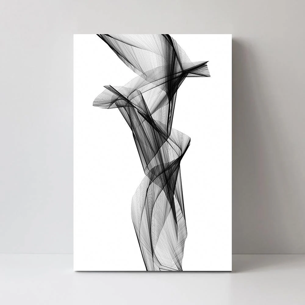 Aerial Silk, Black And White Art, Style C - Image 3
