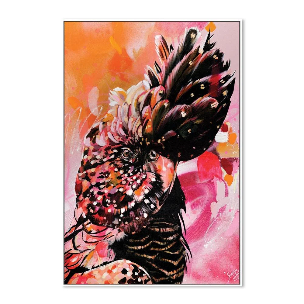 BLACK COCKATOO DAWN - Image 5