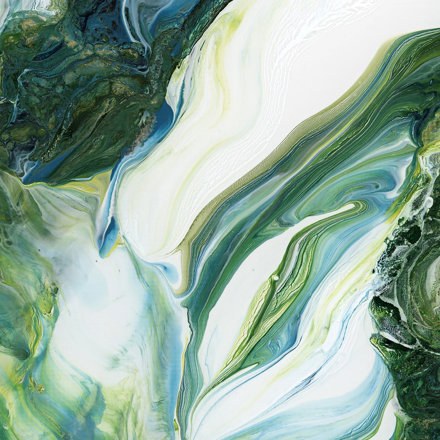 Bloom - Image 10