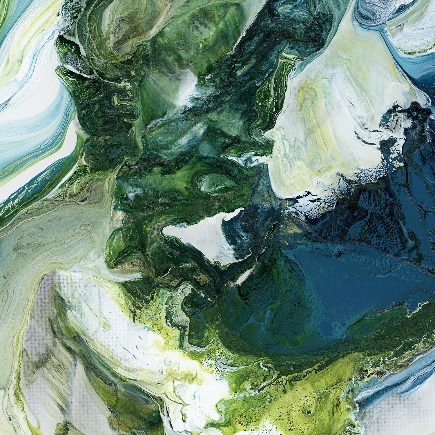 Bloom - Image 11