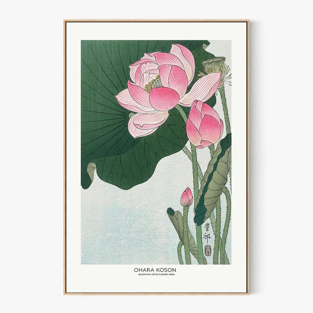Blooming Lotus Flowers - Image 4