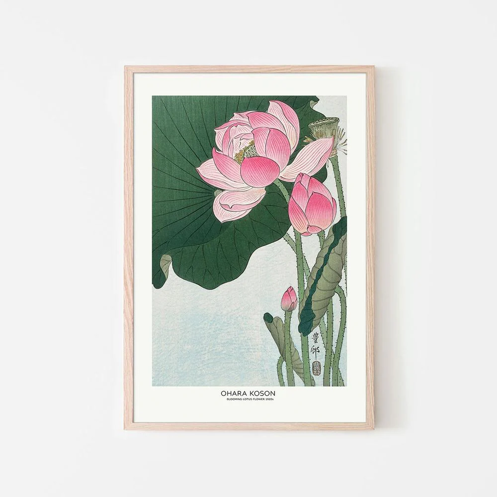 Blooming Lotus Flowers - Image 6
