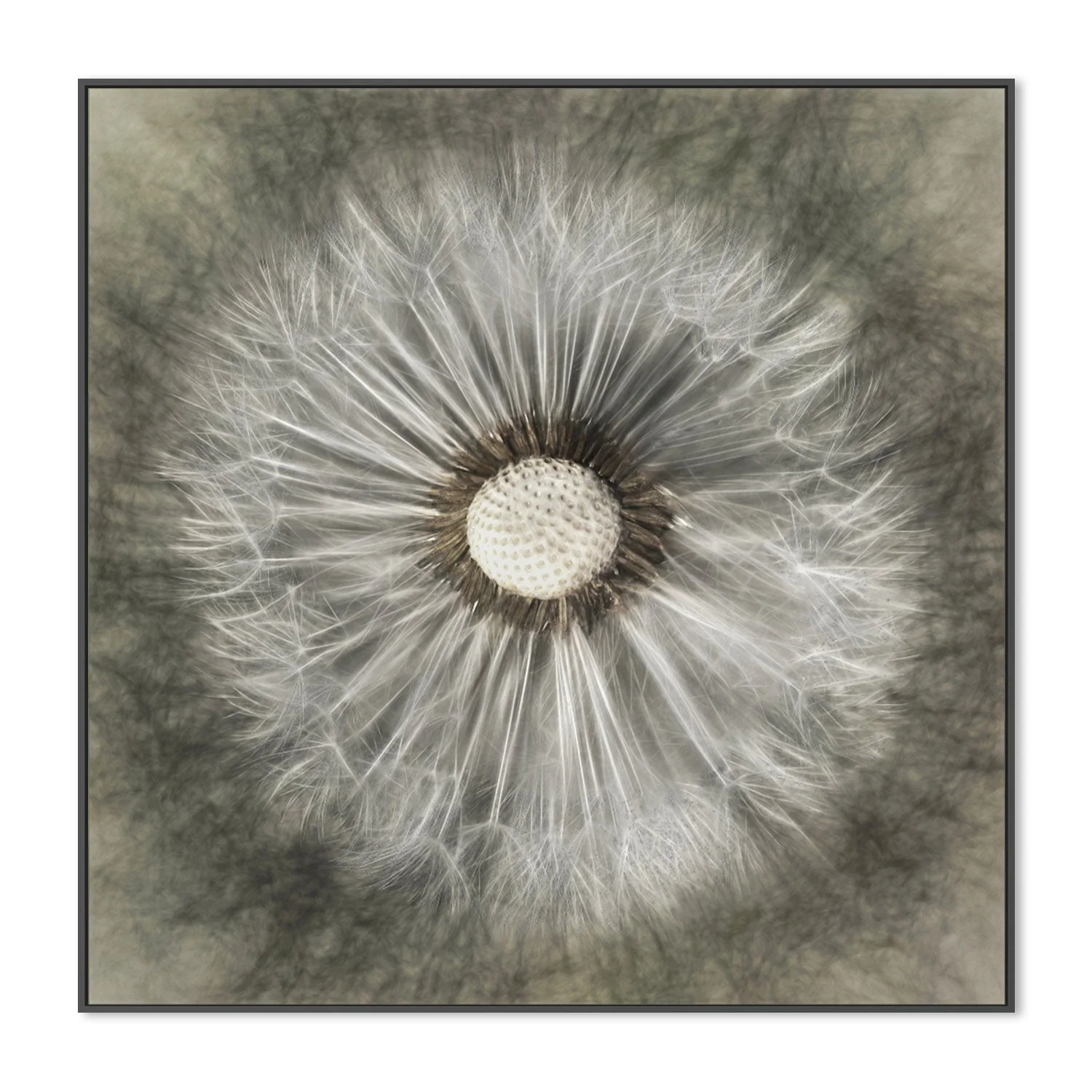 Blossoming Dandelion - Image 3