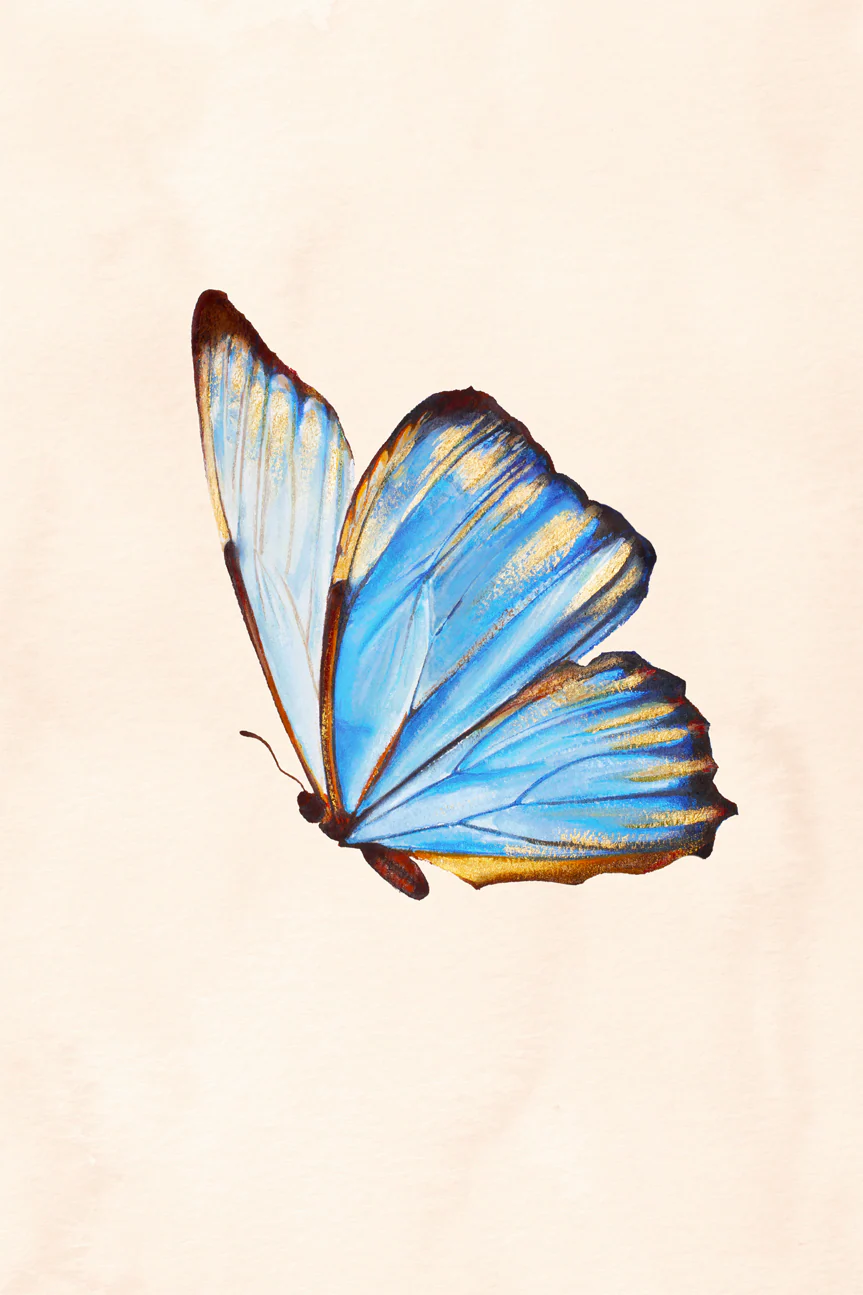 Blue Butterfly