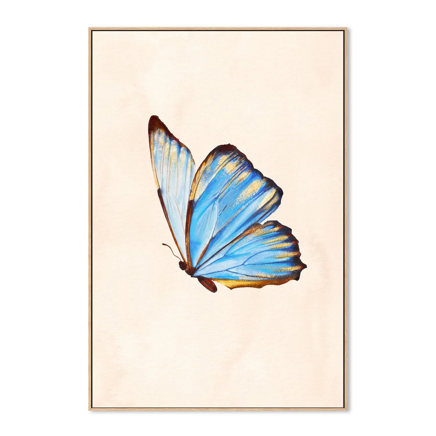 Blue Butterfly - Image 4
