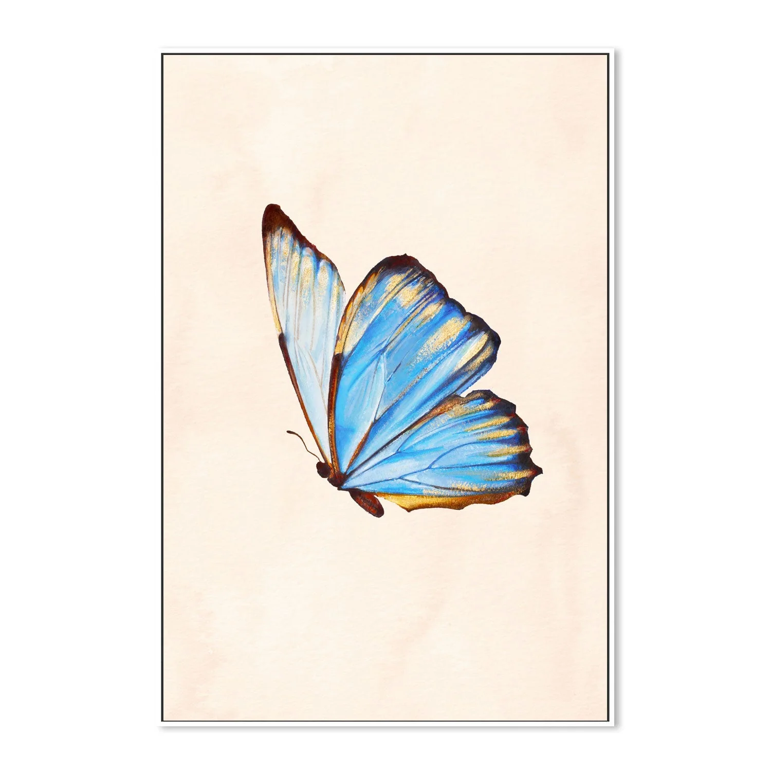 Blue Butterfly - Image 5