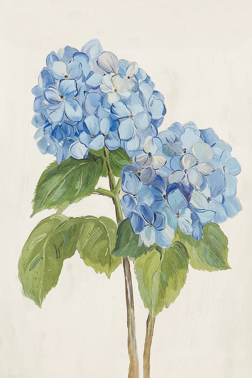 Blue Hydrangea