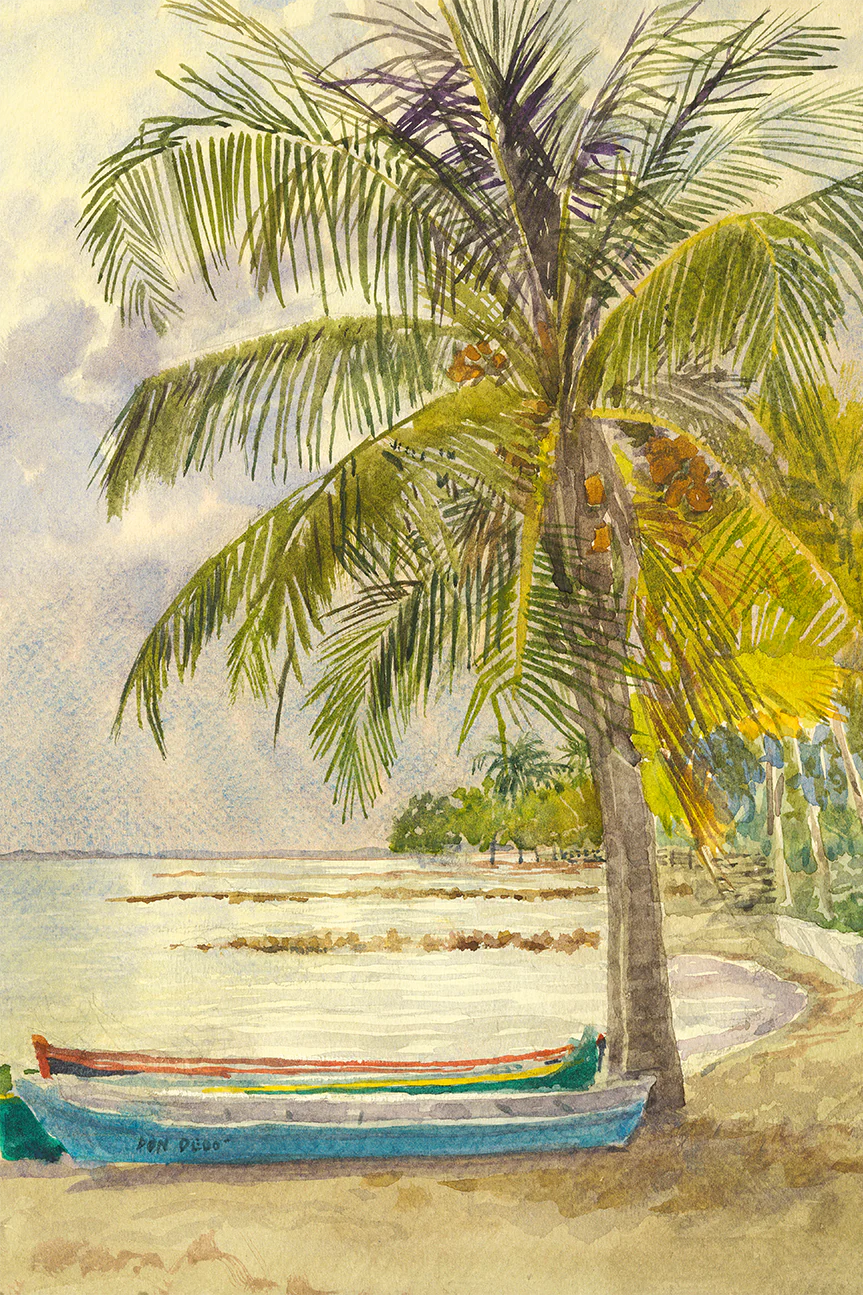 Boats and Coconuts
