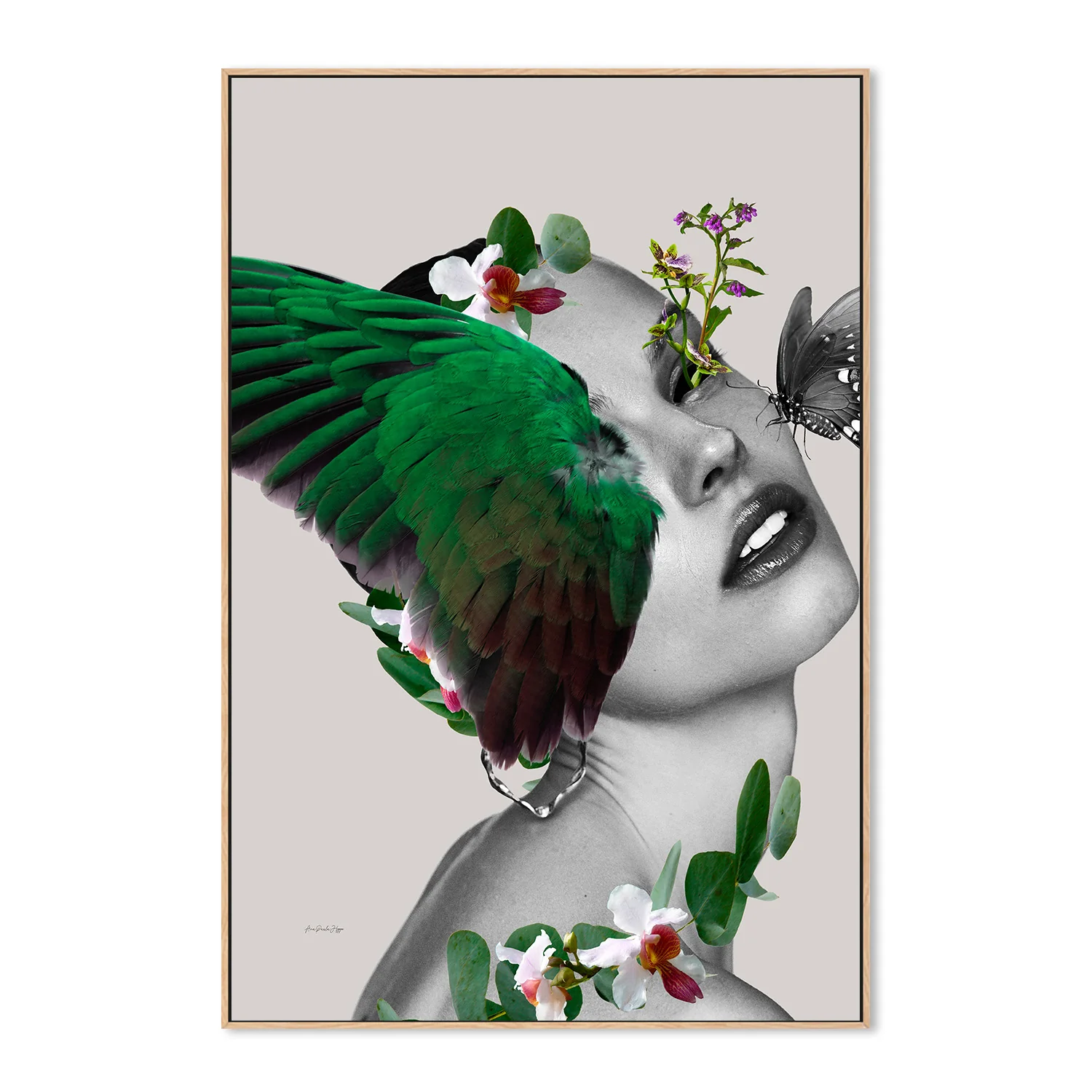 Bossa in Jazz - Image 4
