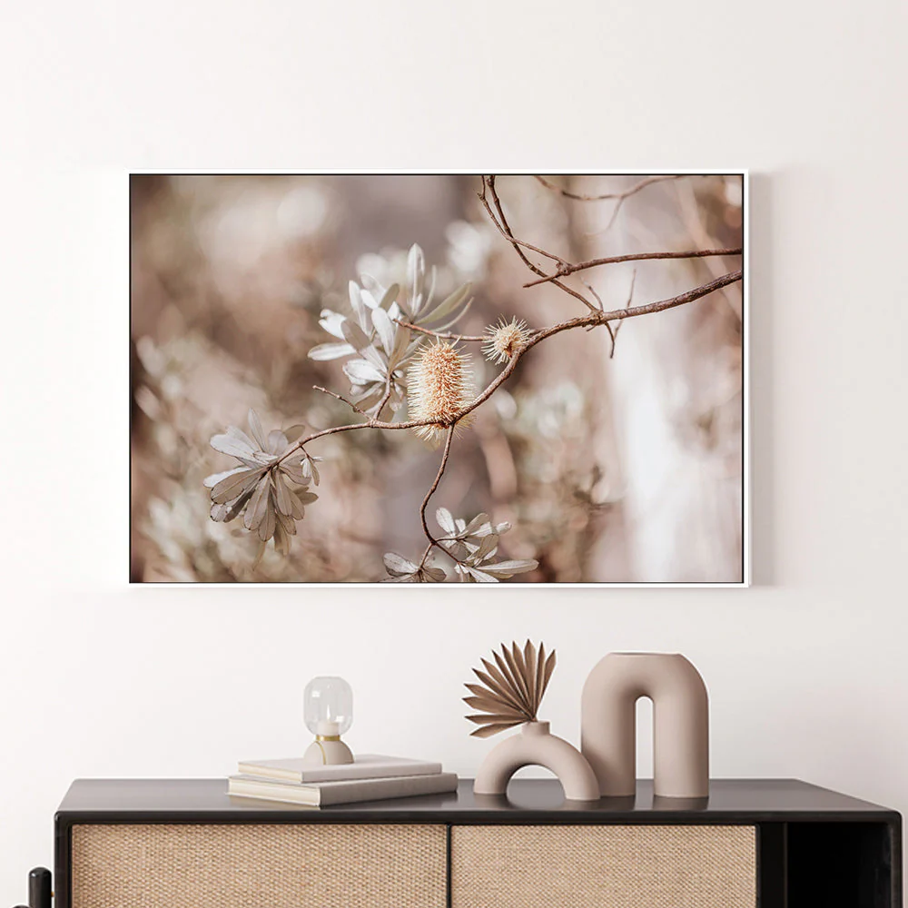 Brown Bohemian Native Plants - Image 7