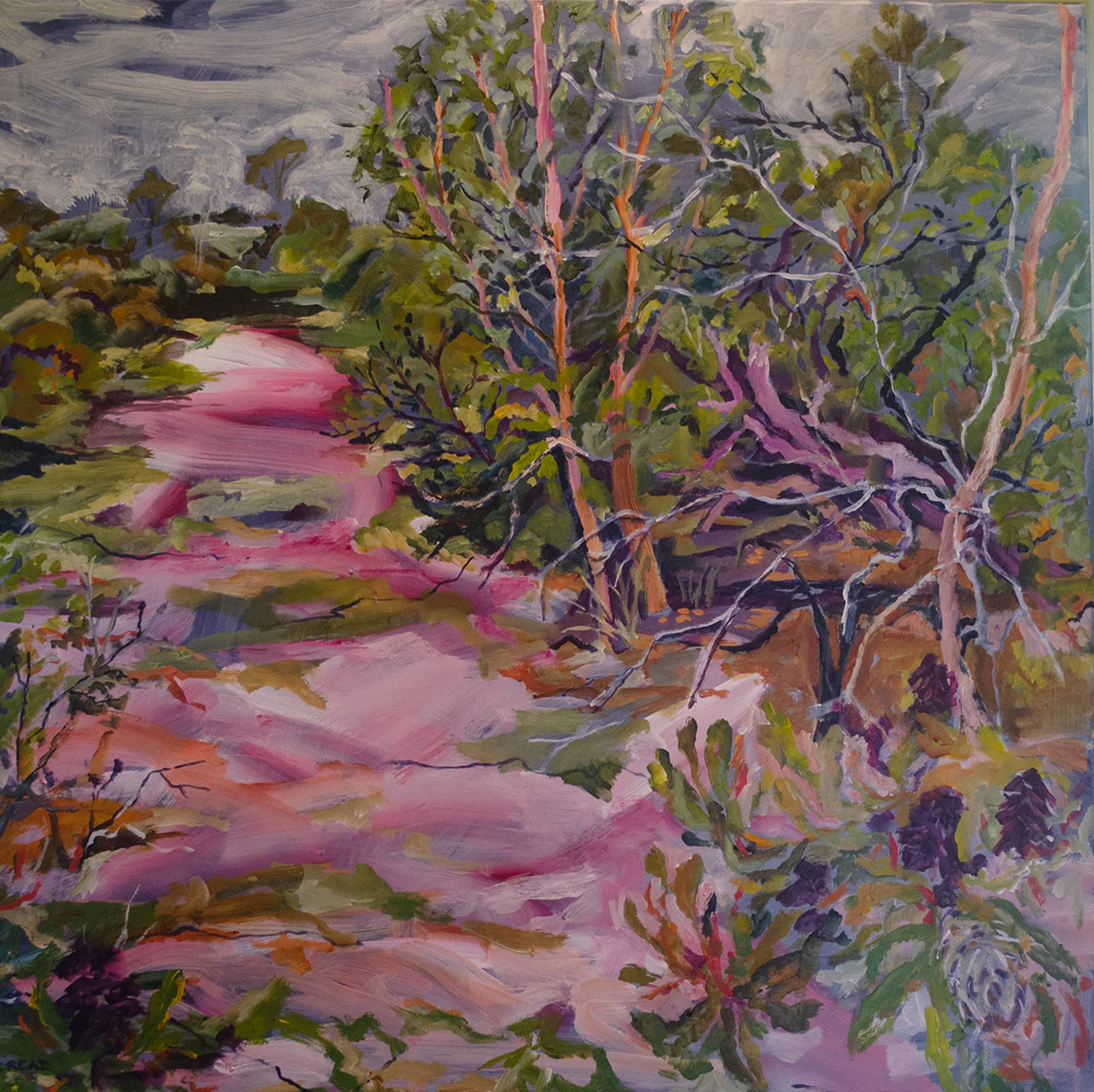Bundjalung Country