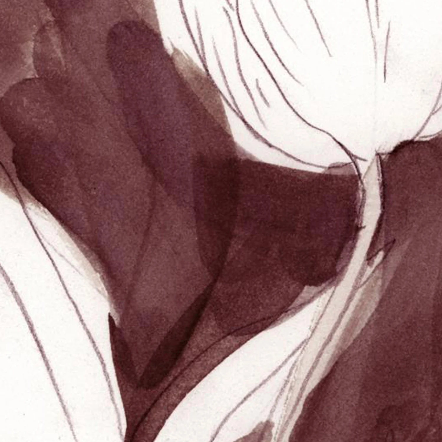 Burgundy Tulip Sketch, Style A - Image 10
