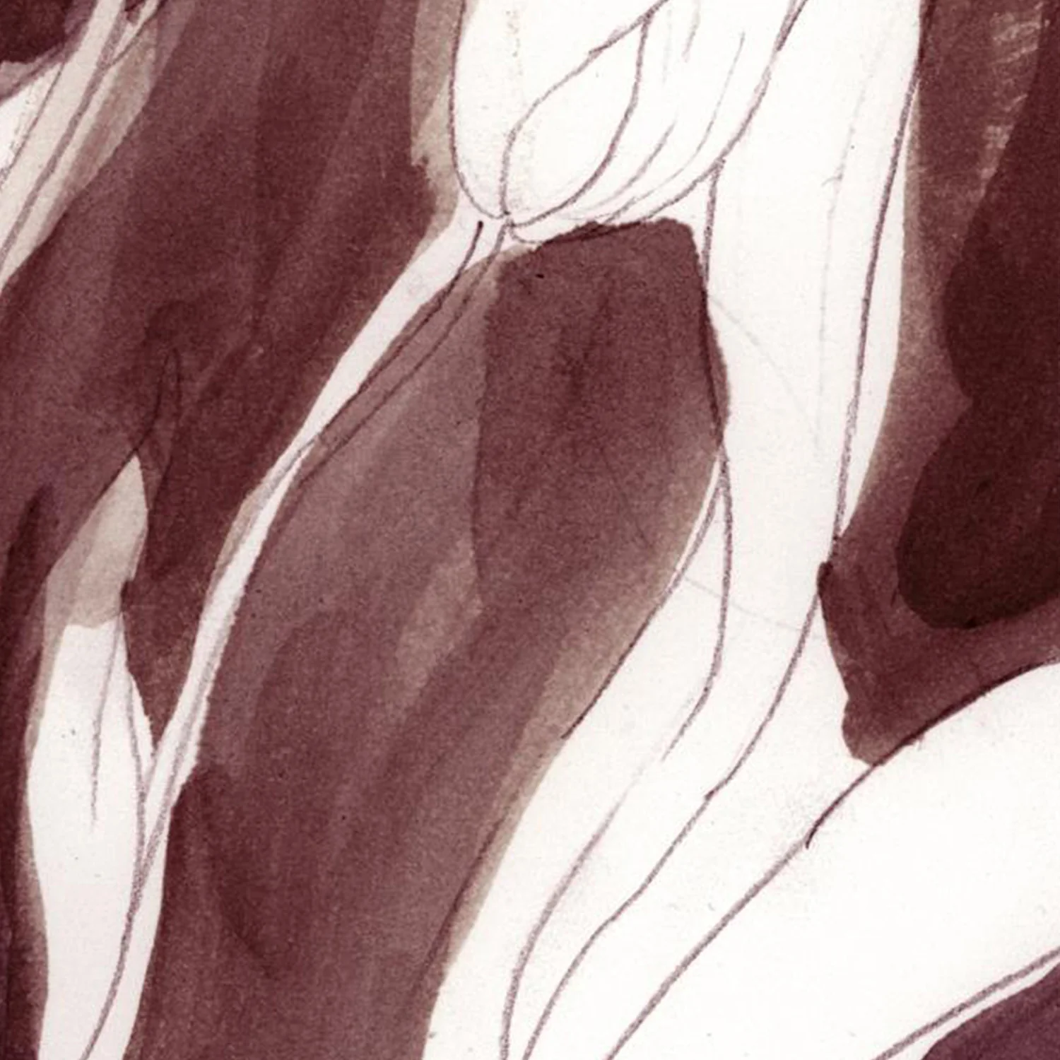 Burgundy Tulip Sketch, Style A - Image 11