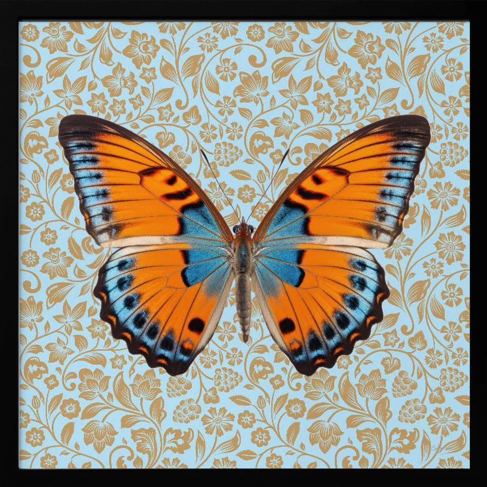 Butterfly Orange and Mint - Image 3