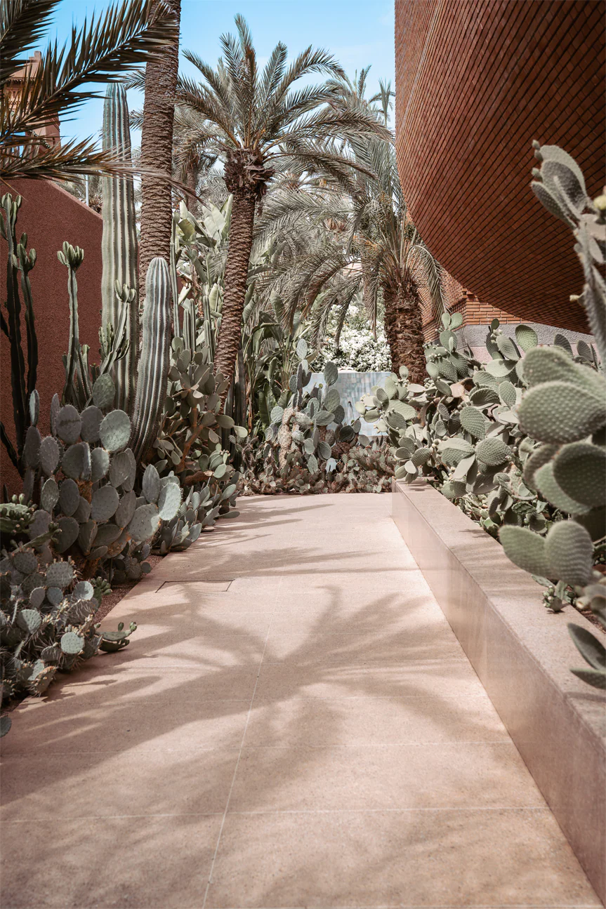 Cactus Path