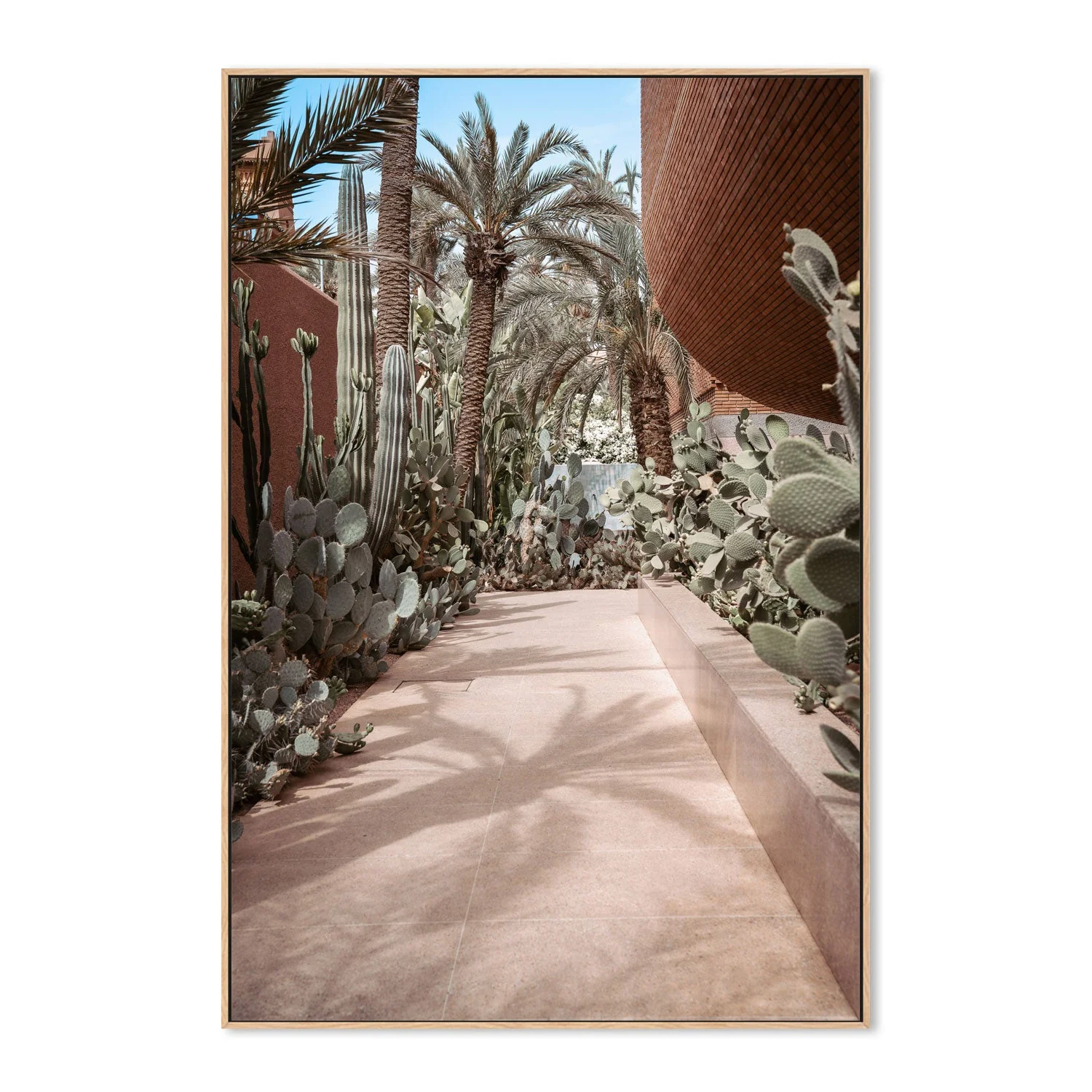 Cactus Path - Image 4