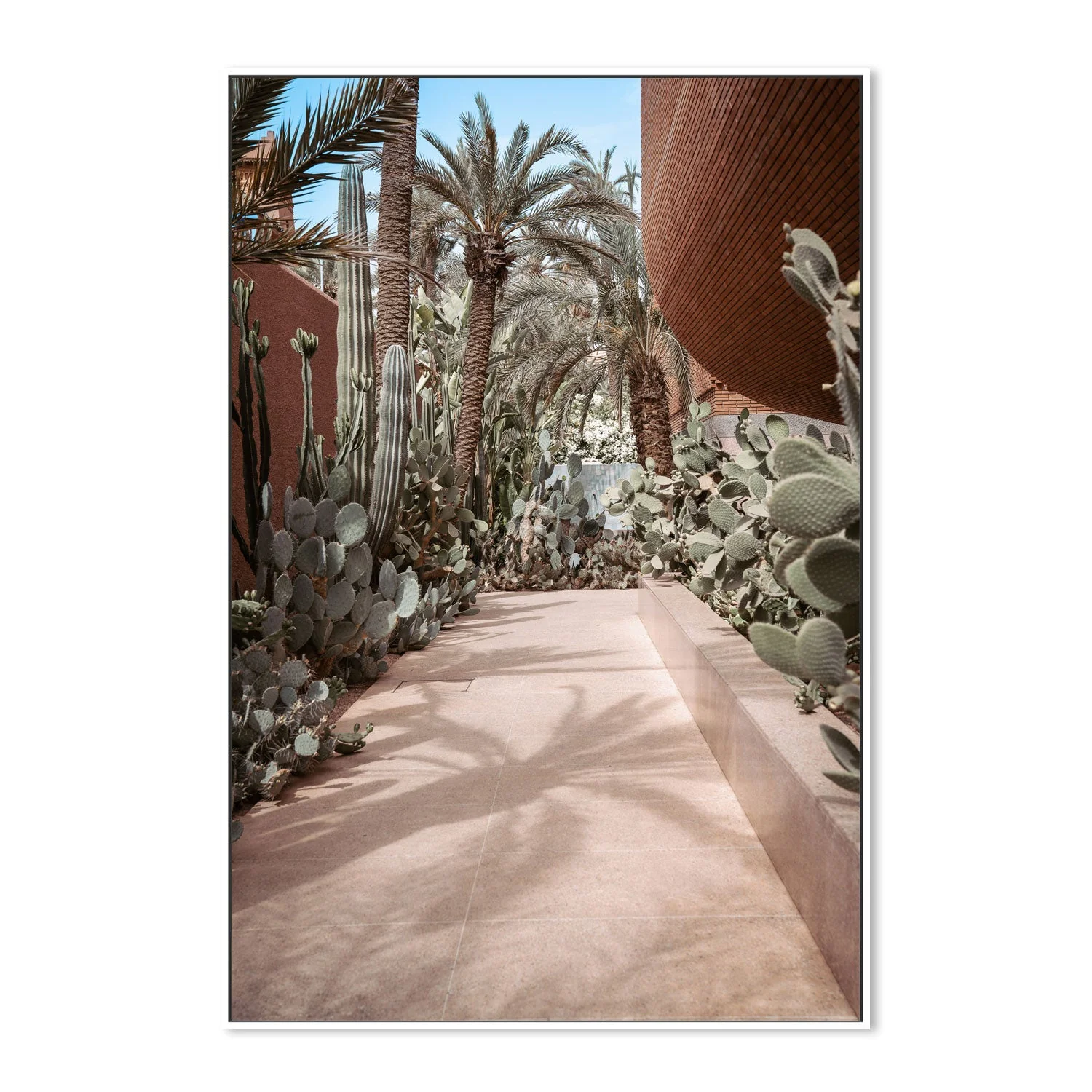 Cactus Path - Image 5
