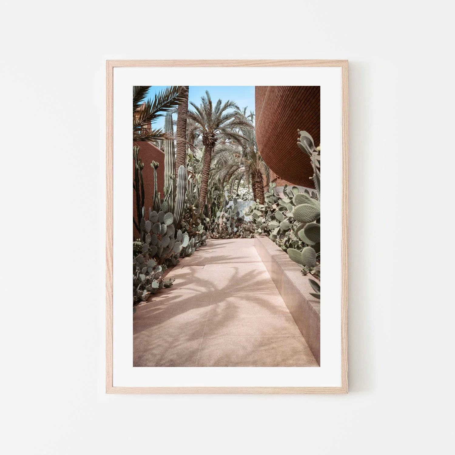 Cactus Path - Image 6
