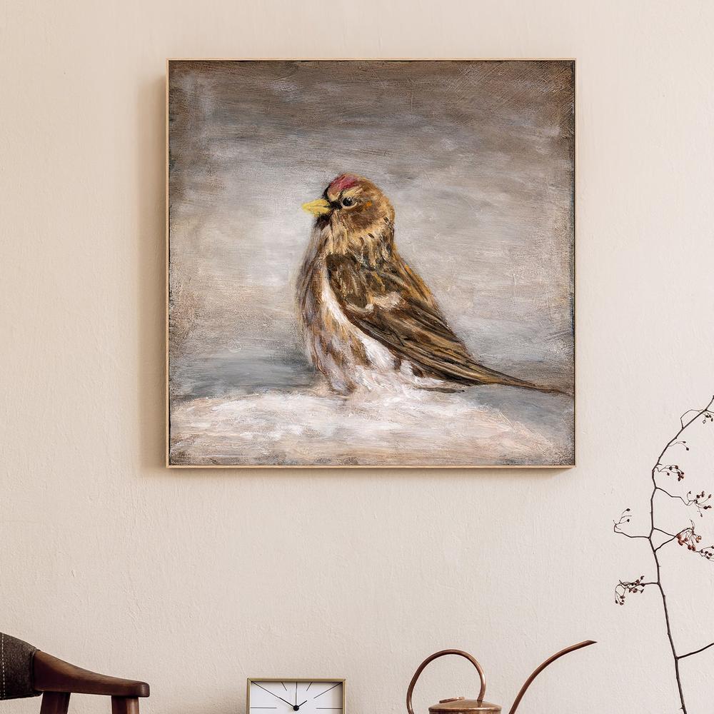 Calm Winter Redpoll - Image 2