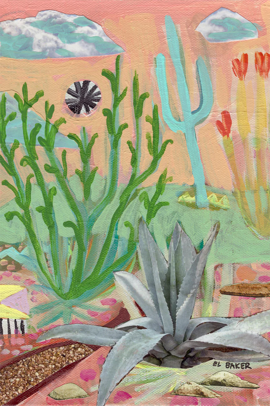Catus Country