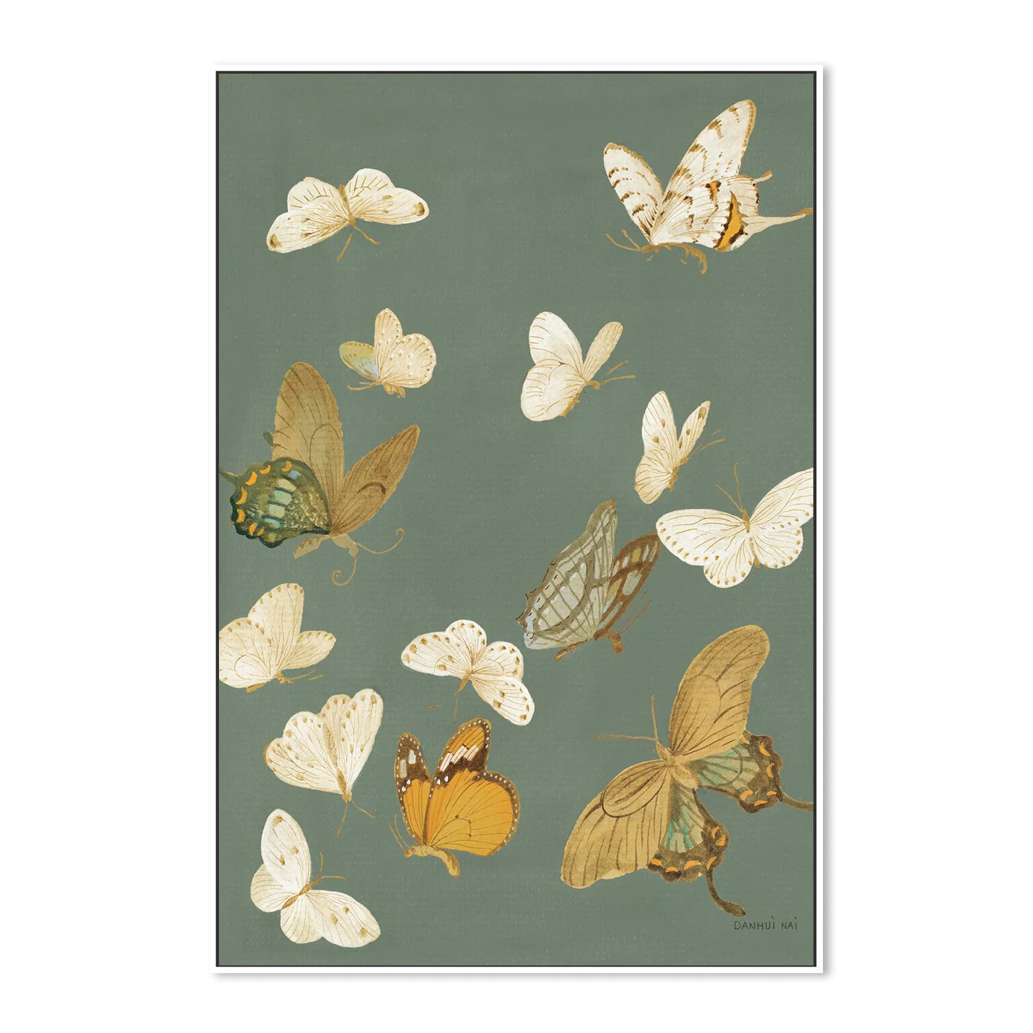 Chrysanthemum Butterflies Sage - Image 5