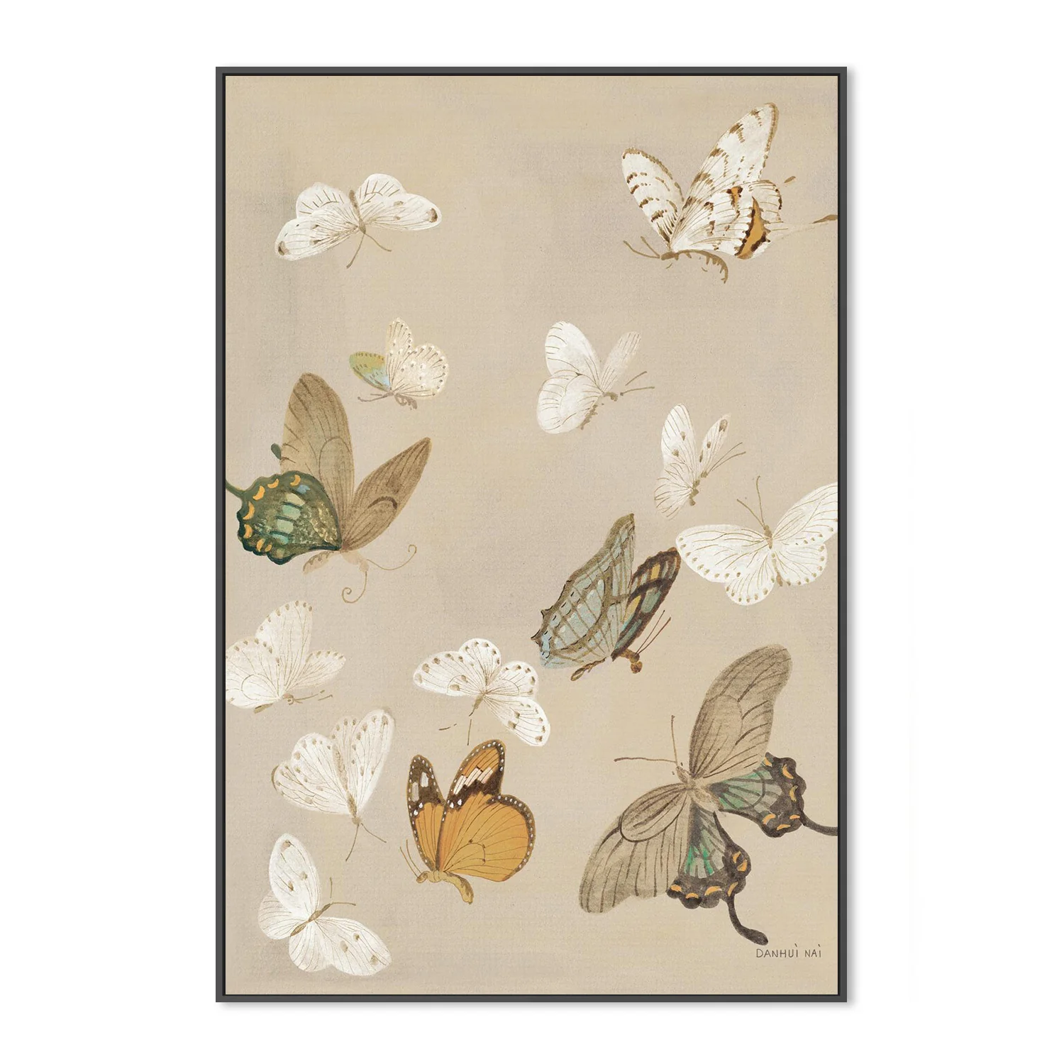 Chrysanthemum Butterflies v2 - Image 3