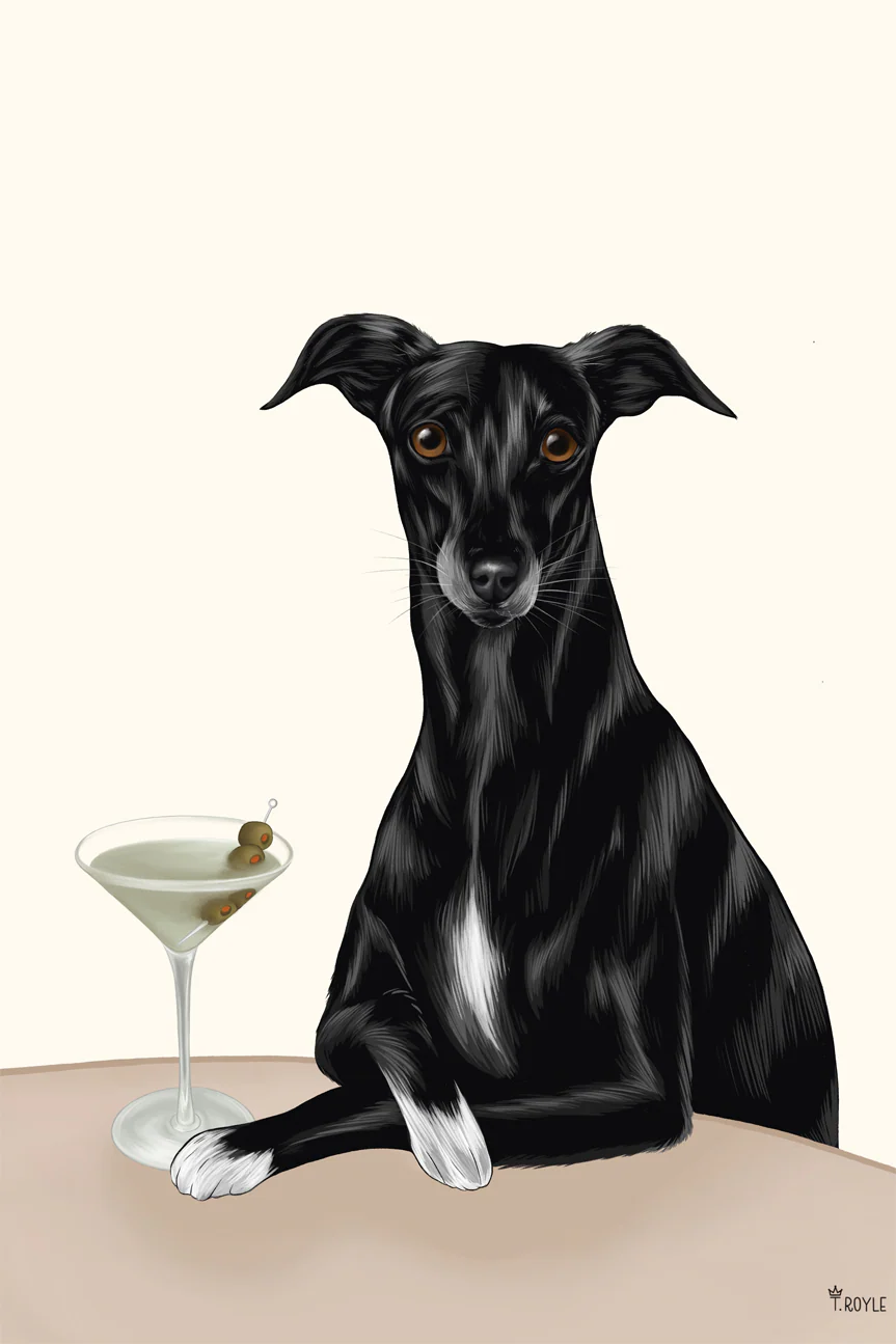 Classy Greyhound with Martini