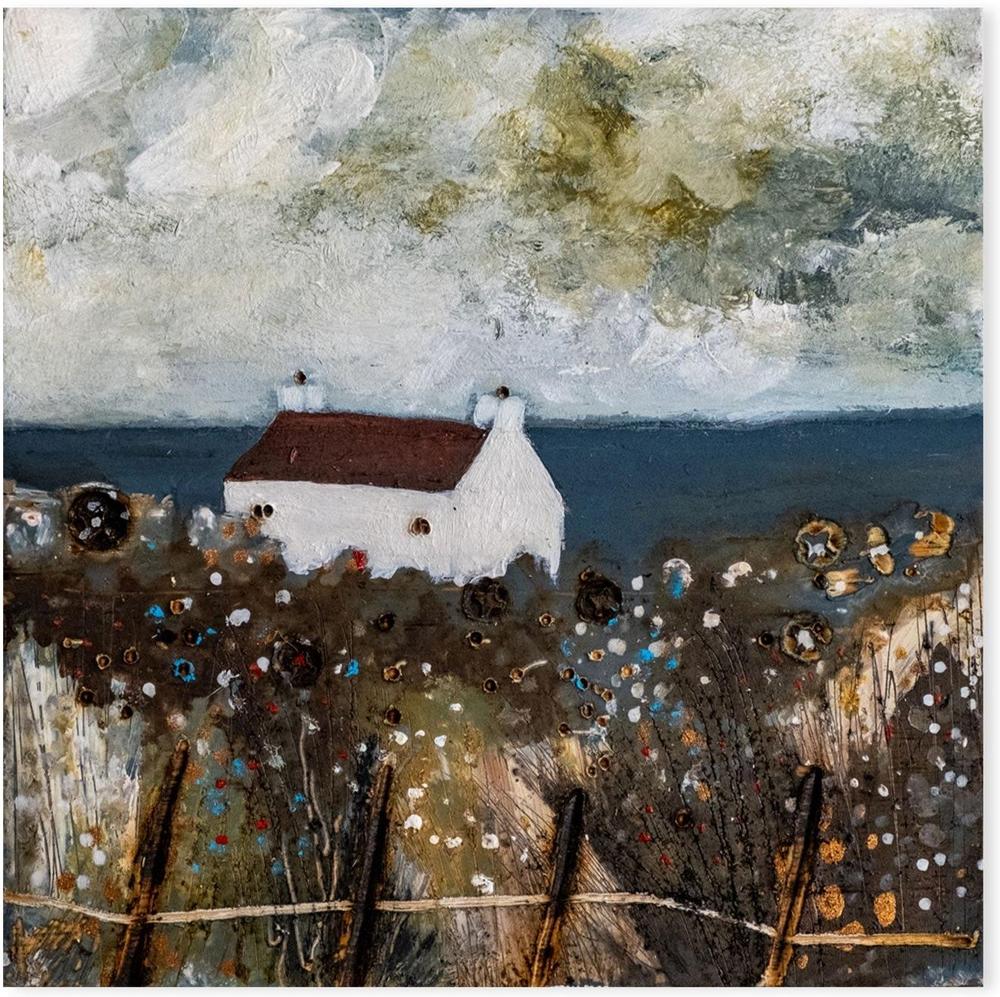 A Coastal Meadow Garden