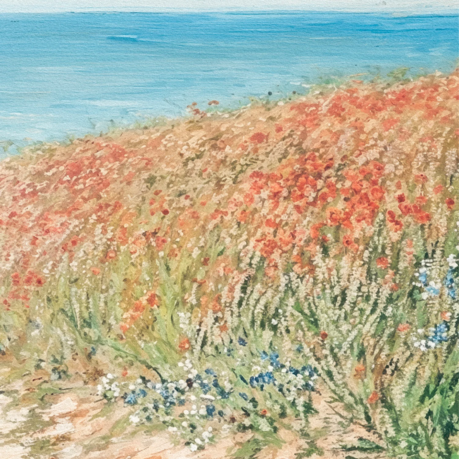 Coastal Pathway - Image 8