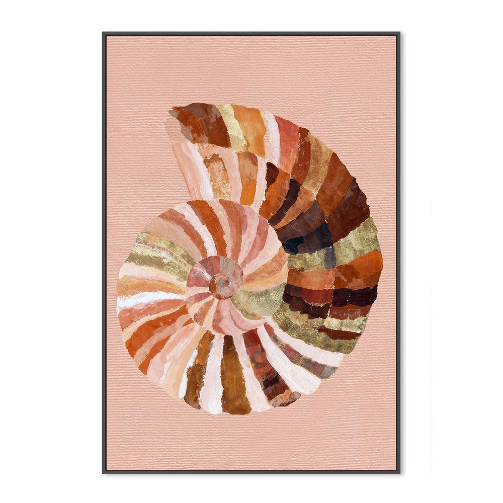 Coastal Shell - Image 3